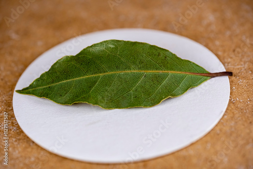 A leaf is on a white plate