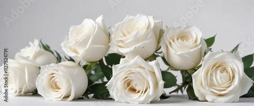 Elegant white roses placed artistically on a white background, bloom, clean, wedding