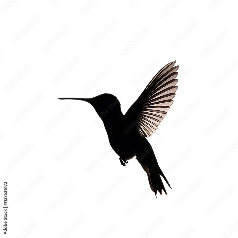 Obraz premium Silhouette of a Hummingbird in Flight with Outstretched Wings