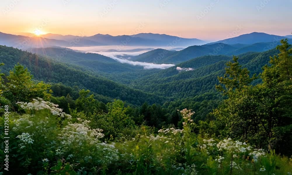 Majestic sunrise over misty mountain range, wildflowers in foreground. Majestic sunrise over misty mountain range, wildflowers in foreground.