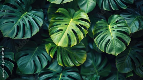 Wallpaper Mural Close-up shot of a group of green leaves Torontodigital.ca