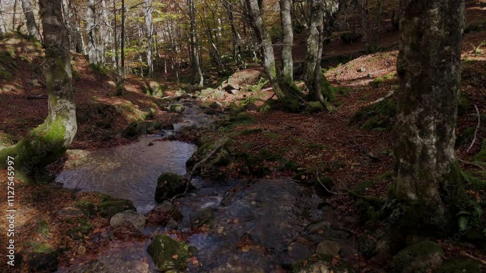 Scenic autumn forest and stream in Asturias, Spain Scenic autumn forest and stream in Asturias, Spain