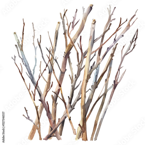 A watercolor vector of woody stems, isolated on a white background. Woody stems vector.