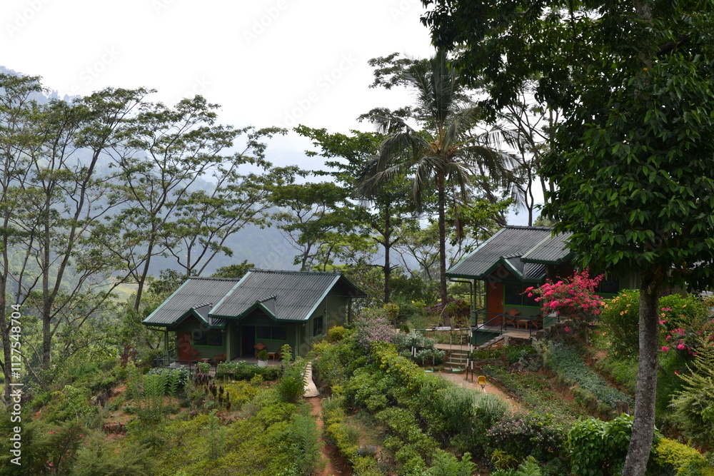 Petites maisons en bois dans la forêt tropicale du Sri Lanka, maison, en bois, Sri Lanka Petites maisons en bois dans la forêt tropicale du Sri Lanka, maison, en bois, Sri Lanka