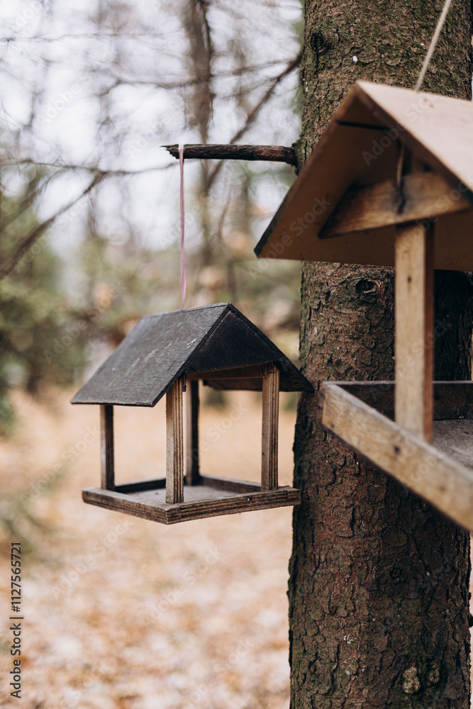 Wooden birdhouses hanging on tree branches in forest setting Wooden birdhouses hanging on tree branches in forest setting