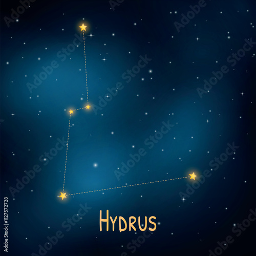 Hydrus constellation in a starry night sky: celestial navigation and astronomy art.