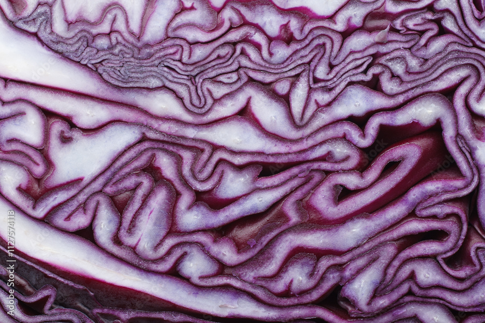 Obraz premium Abstract macro background, fresh red cabbage pattern