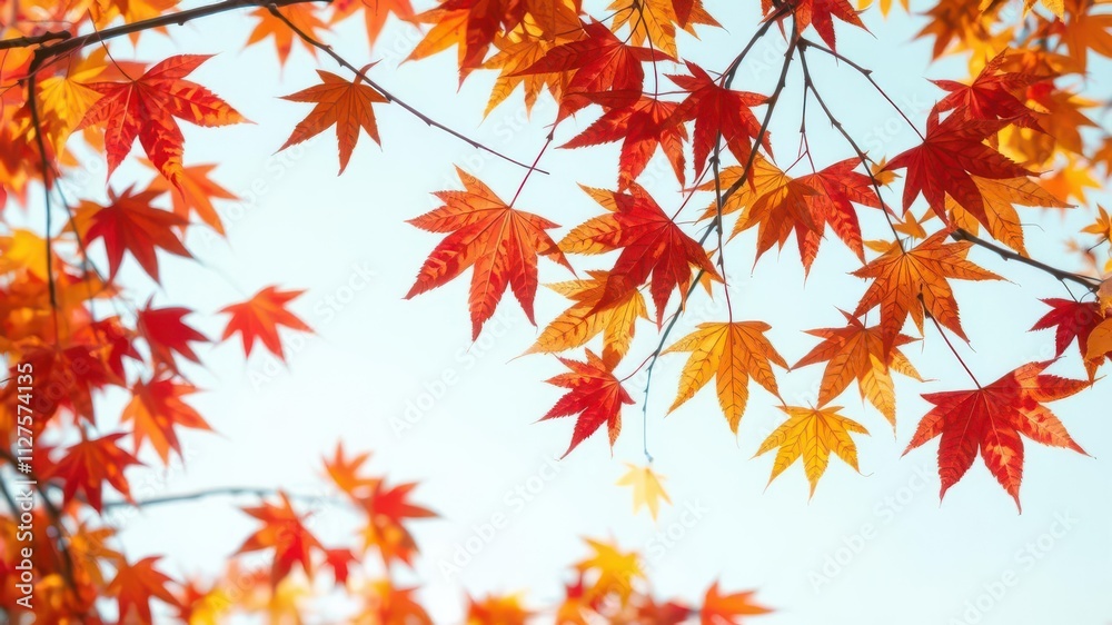 Vibrant autumn maple leaves in red, orange, and yellow hues on a tree branch, orange, fall Vibrant autumn maple leaves in red, orange, and yellow hues on a tree branch, orange, fall