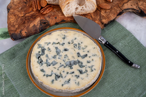 Cheese collection, piece of French blue cheese auvergne or fourme d'ambert photo