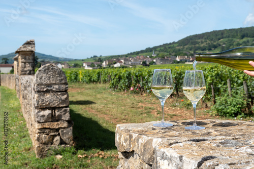 Bild auf Leinwand Tasting of high quality white dry wine made from Chardonnay grapes on grand cru