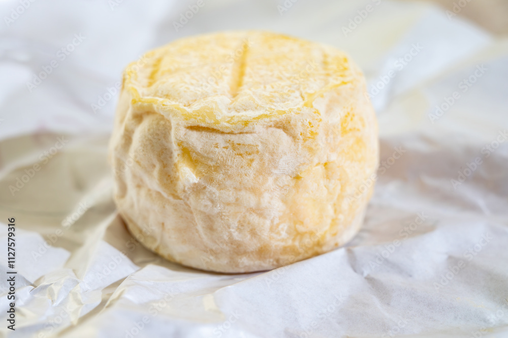 Cheese collection, soft goat French cheese with mold crottin de Chavignol produced near Sancerre on cheese farm, Loire Valley close up Cheese collection, soft goat French cheese with mold crottin de Chavignol produced near Sancerre on cheese farm, Loire Valley close up