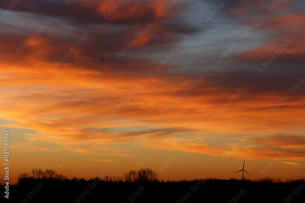 Sunset sky, fiery orange and gold hues, with silhouetted trees and a wind turbine. Birds in flight. A tranquil scene. Sunset sky, fiery orange and gold hues, with silhouetted trees and a wind turbine. Birds in flight. A tranquil scene.