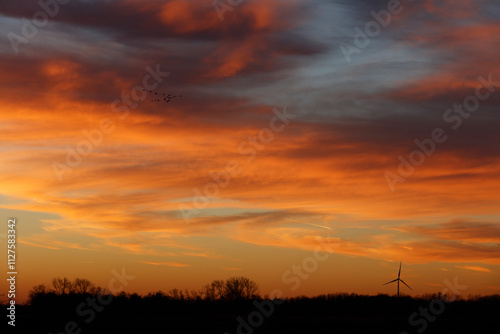 Sunset sky, fiery orange and gold hues, with silhouetted trees and a wind turbine. Birds in flight.  A tranquil scene.