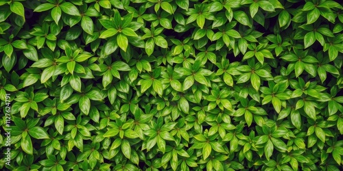 Wallpaper Mural Lush tropical jungle foliage with vibrant green leaves creating a dense and lush bush, plant, jungle Torontodigital.ca