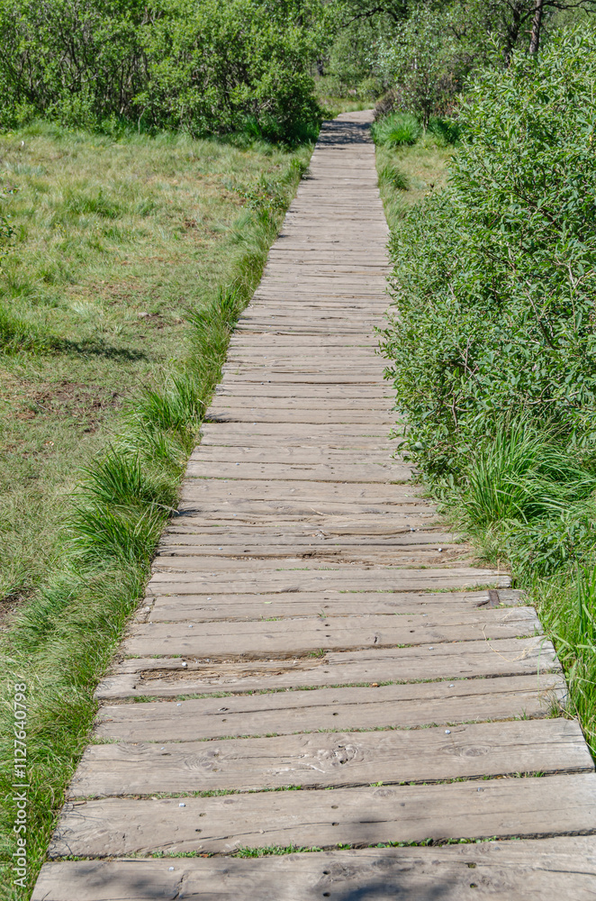 Path to Preikestolen (The Pulpit Rock), a tourist attraction in Rogaland county, Norway Path to Preikestolen (The Pulpit Rock), a tourist attraction in Rogaland county, Norway