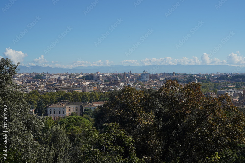 Fototapeta premium Rome Skyline
