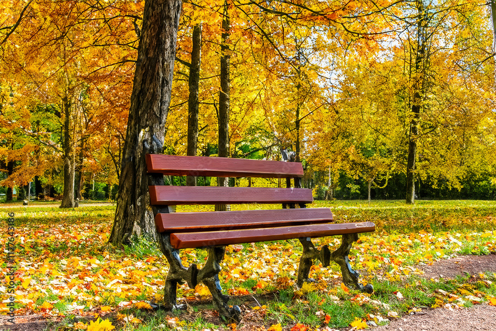 An empty bench a park surrounded by trees. A bench the park with trees autumn. Wooden bench in the forest in autumn. Wooden bench in the forest with autumn trees in the lifestyle park. An empty bench a park surrounded by trees. A bench the park with trees autumn. Wooden bench in the forest in autumn. Wooden bench in the forest with autumn trees in the lifestyle park.