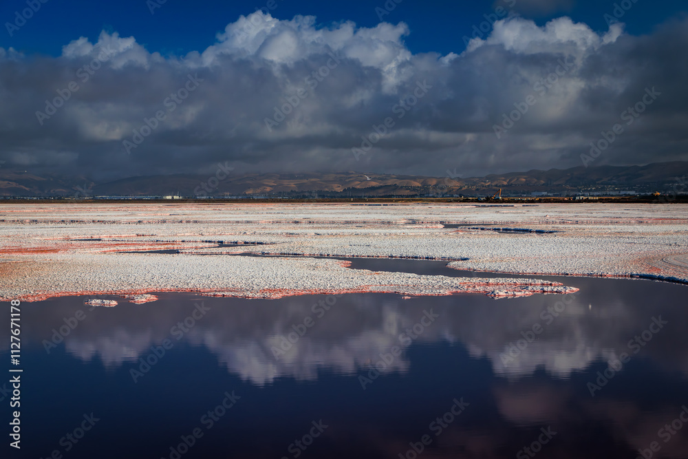 Obraz premium Pink salt flats, Alviso Marina County Park, San Jose, California caused by algae