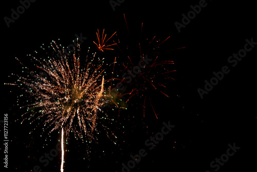 fireworks in the night sky