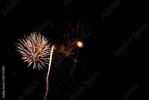 fireworks in the night sky