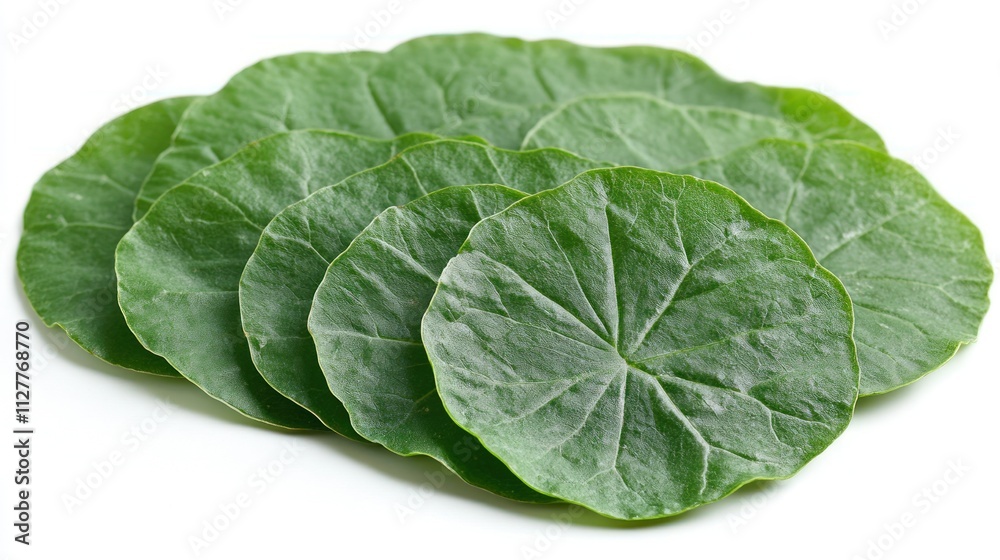 Stack of fresh green round leaves isolated on white. Stack of fresh green round leaves isolated on white.
