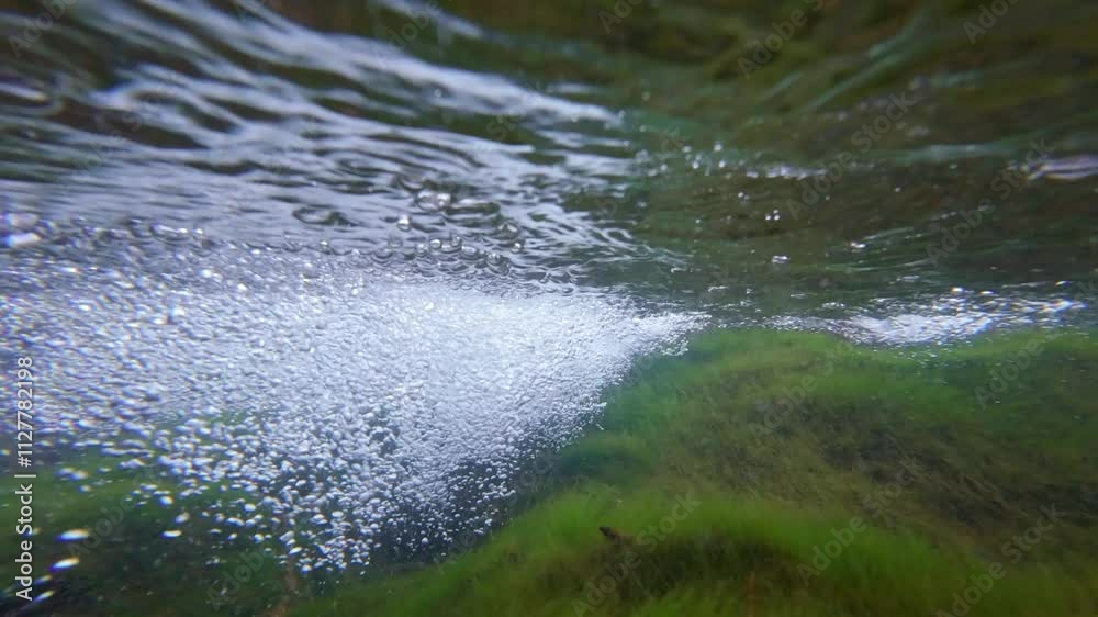 4k real time footage of camera going under water of the stream in the mountains. Camera goes under the water of the mountain stream. Natural background. Bubbles under water made by waterfall on rocks.