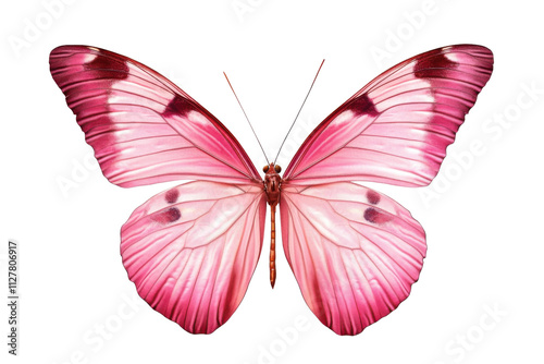 Beautiful pink butterfly PNG with transparent background for digital art and design projects