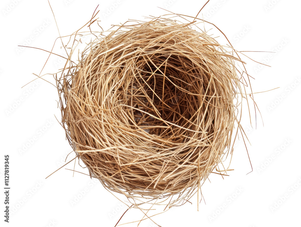 Empty Bird Nest with Straws and Twigs Empty Bird Nest with Straws and Twigs
