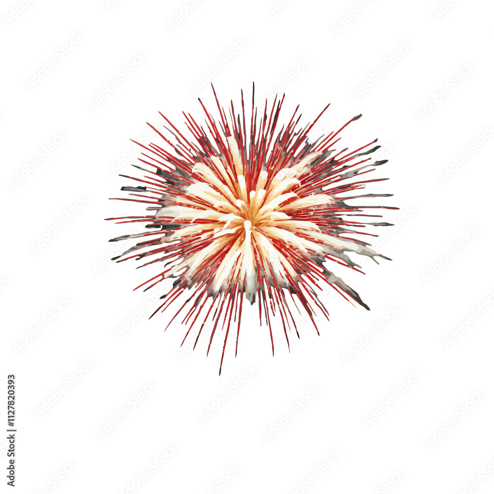 Obraz premium fireworks isolated
