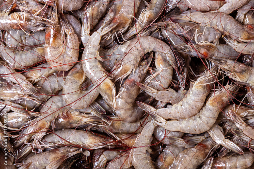 Shrimps in the market. Fresh seafood. Animal protein. Shrimps in the market. Fresh seafood. Animal protein.