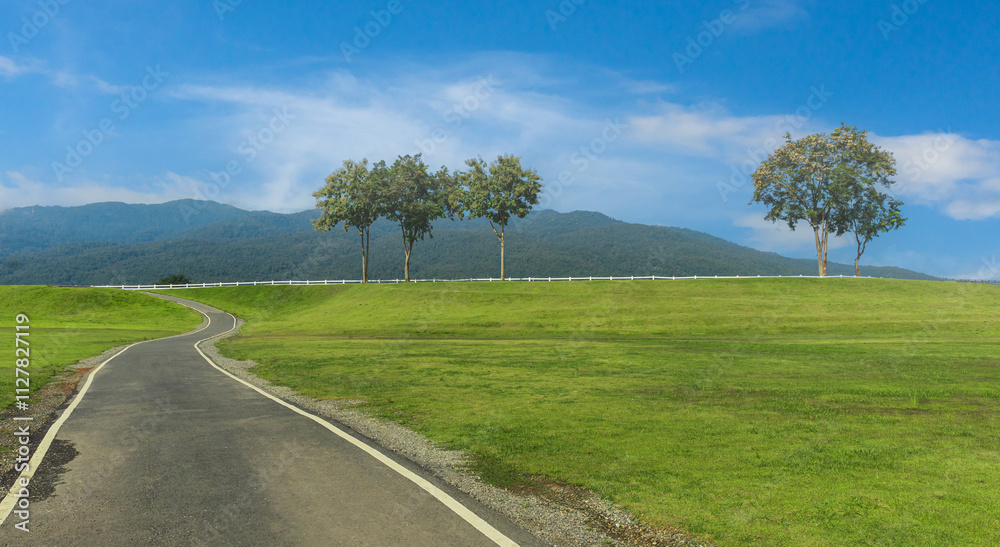 Asphalt road in countryside with blue sky on sunny day Asphalt road in countryside with blue sky on sunny day