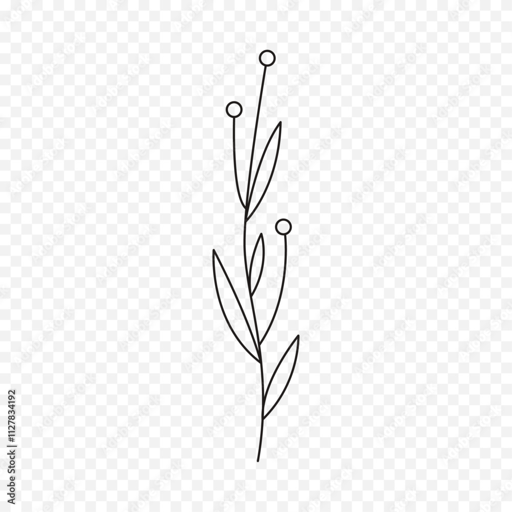 Hand drawn spring flowers illustration. floral illustration Hand drawn spring flowers illustration. floral illustration
