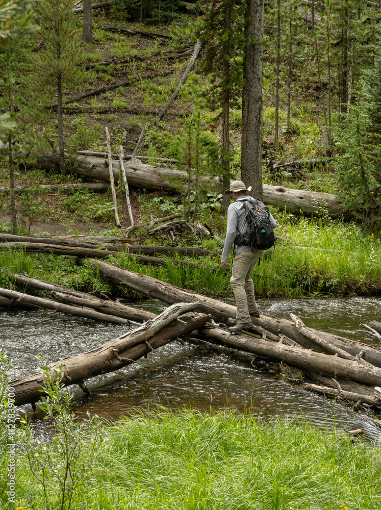 Hiker Crosses Tangle Of Downed Trees In Rushing Creek Hiker Crosses Tangle Of Downed Trees In Rushing Creek