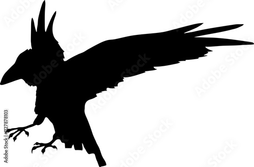 Bird Raven Crow Black Silhouette for Icon.
