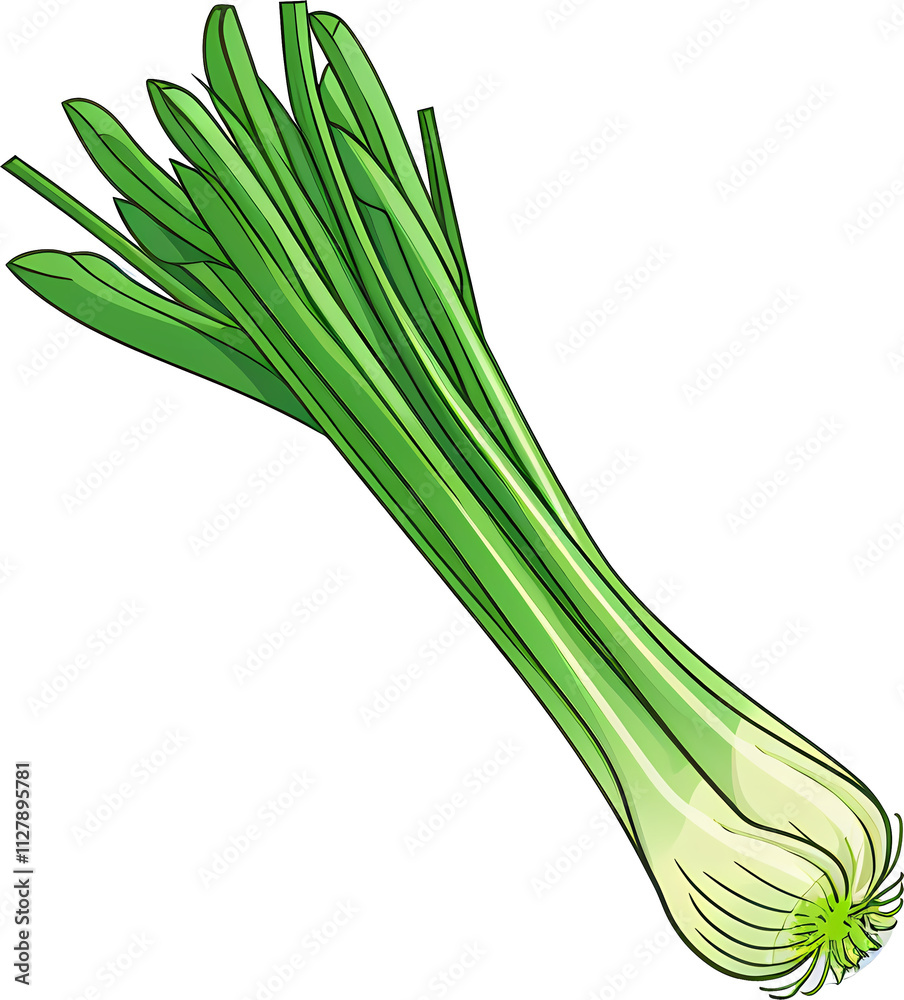 Fototapeta premium Green onion