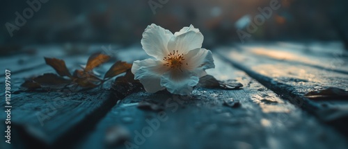Wilted flower on a wooden table, its petals slowly drifting away, representing impermanence in nature beauty, soft lighting capturing every delicate detail