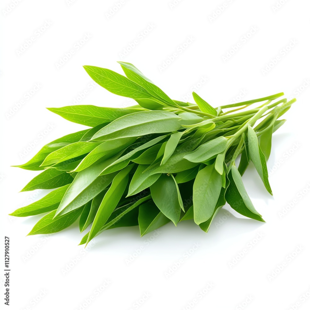 Fresh green leaves arranged on a white isolated background. Fresh green leaves arranged on a white isolated background.