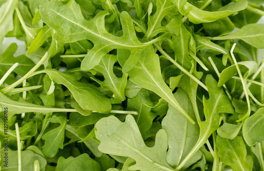 Fresh Organic Arugula Leaves for Salads Fresh Organic Arugula Leaves for Salads