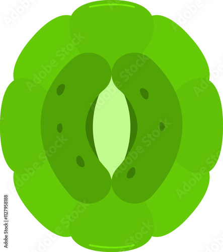 Epiderm Green Leaf Stomata Guard Cells