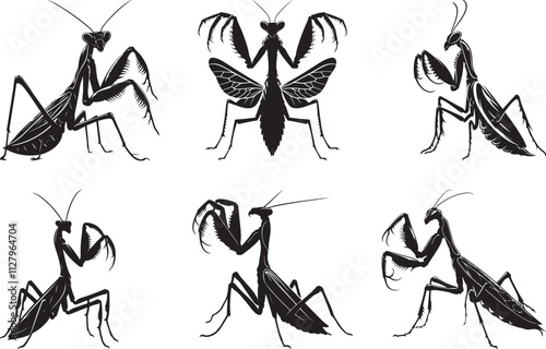 Mantis set silhouette vector illustration, Mantis isolated vector art