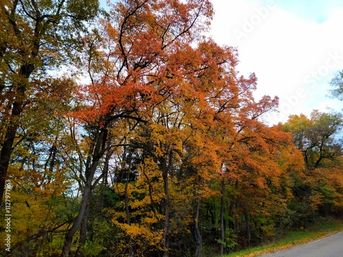 Fall in Michigan 1