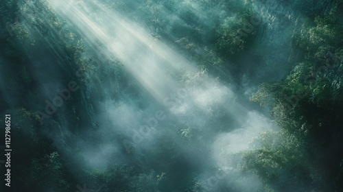 Sunbeams Illuminate Misty Forest Canopy