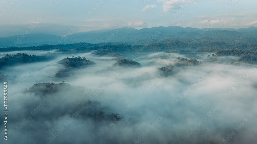 Aerial view of forest and morning fog in a tropical rainforest in Asia Aerial view of forest and morning fog in a tropical rainforest in Asia