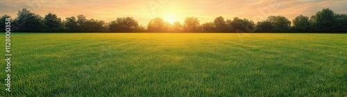 Beautiful green grass field at sunrise with dew illuminated by golden light serene nature landscape