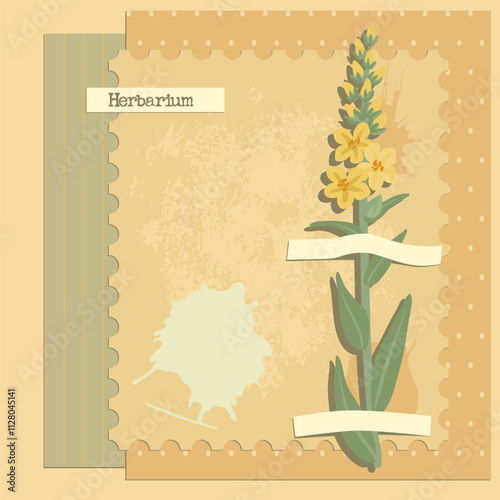 vector collage with flower, mullein, creative composition, herbarium imitation. dried wild plants