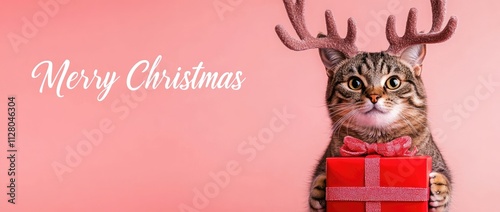 Photo of a cute cat wearing deer antlers and a red gift box, set against a solid-colored banner with the text 