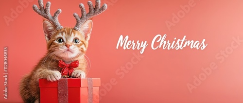 Photo of a cute cat wearing deer antlers and a red gift box, set against a solid-colored banner with the text 