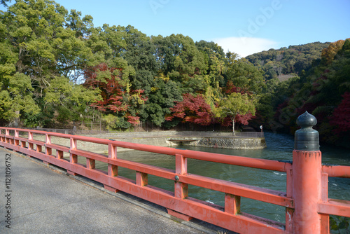 宇治観光　観流橋と紅葉　京都府宇治市