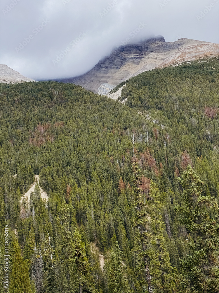 Fototapeta premium Mountains in Jasper National Park, Alberta, Canada. 