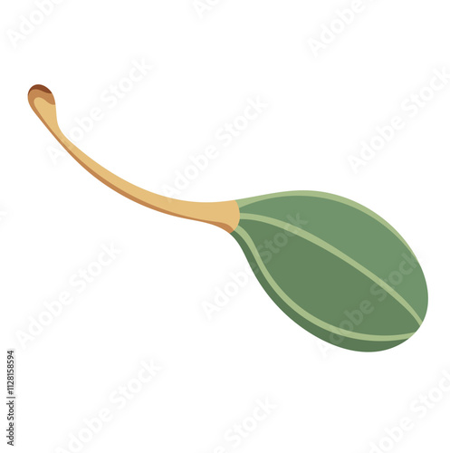Fresh Green Capers Fruit Illustration Isolated on White Background